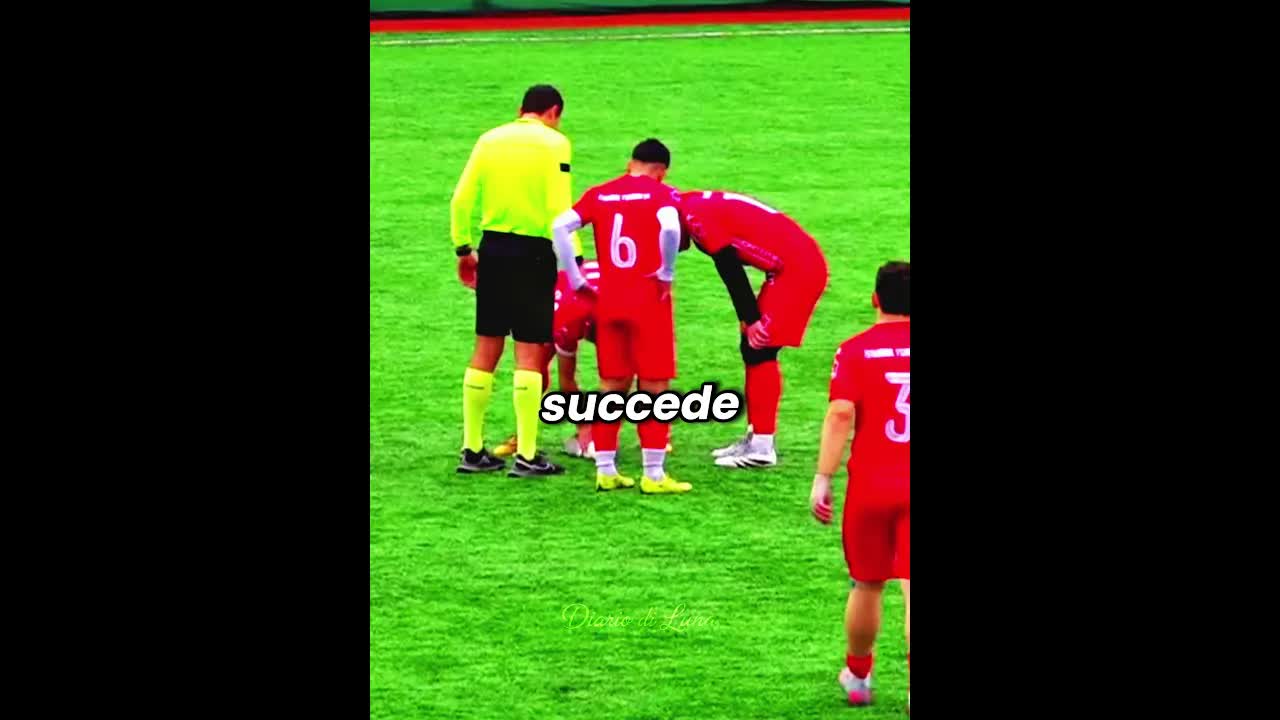 Il calciatore che ha salvato un gabbiano con il massaggio cardiaco