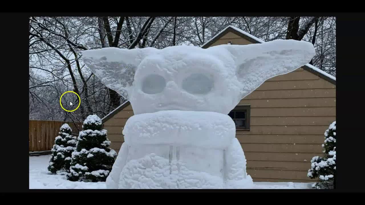 在伊利诺伊和德州堆雪人的故事