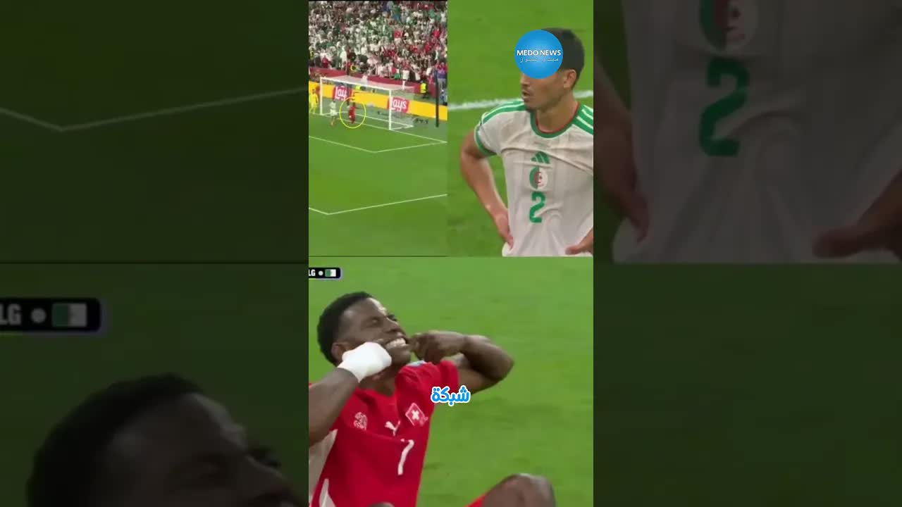 رد فعل رشيد الطاوسي على هدف سويسرا ضد الجزائر