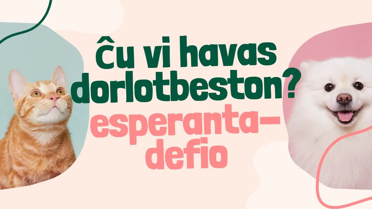 Ĉu vi havas dorlotbeston? Tago 5 de la defio