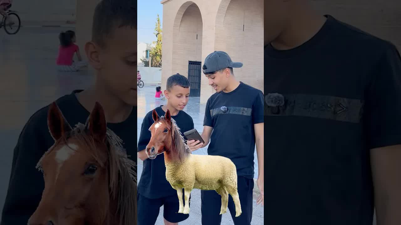 أغرب تحدي مع حيوانات مضحكة