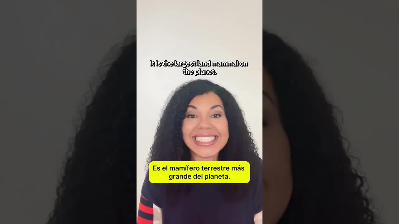 describe al animal y adivina cuál es