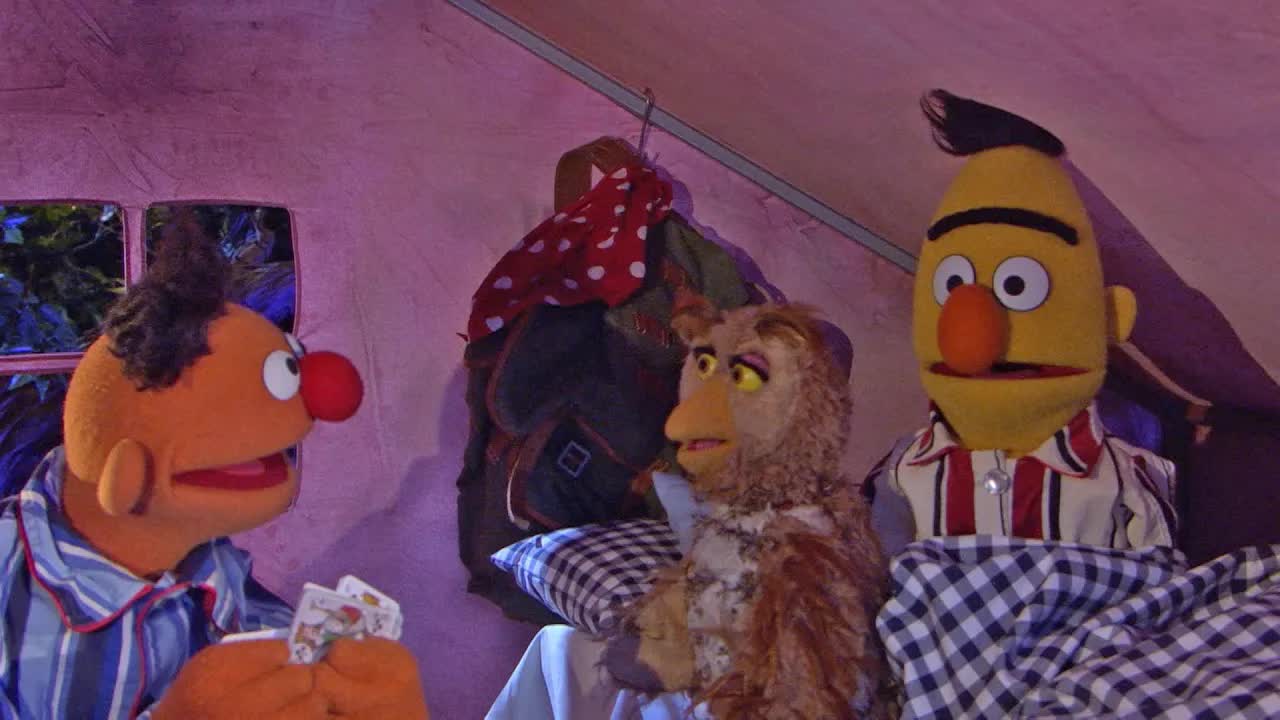 Ernie und Bert hören eine Eule