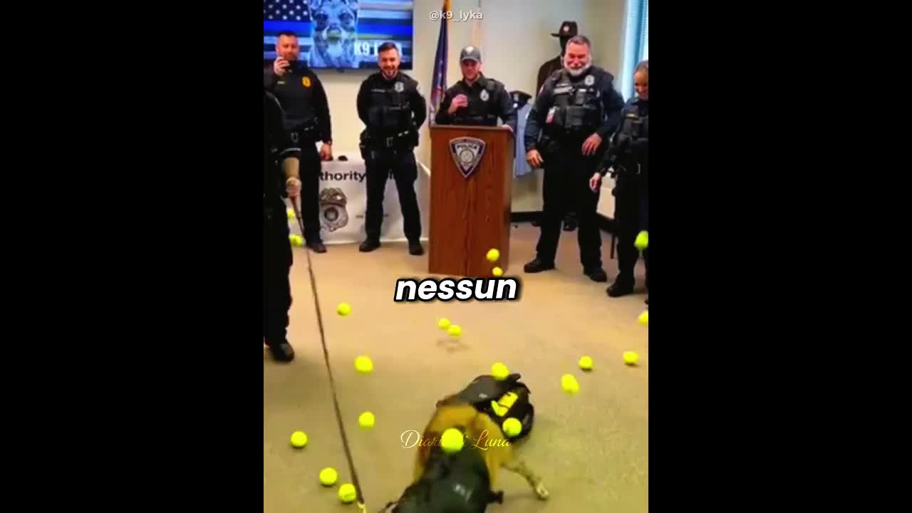 L’ultima sorpresa per un cane poliziotto