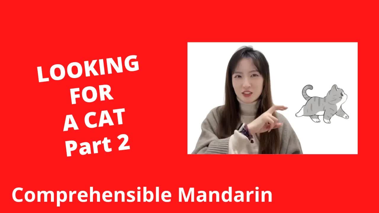 寻找我家胆小的猫咪
