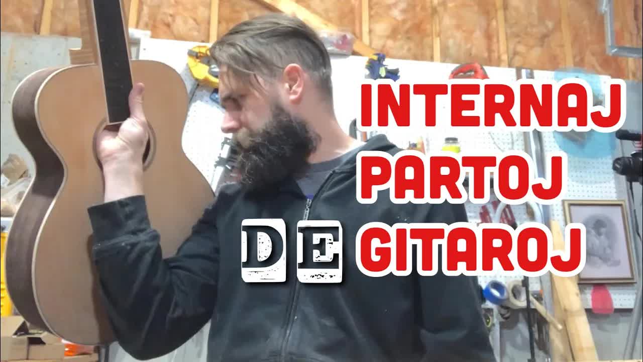 Gitarpartoj: Internaj Komponentoj kaj Terminaro
