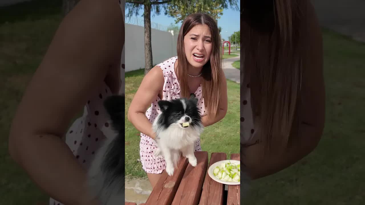 Jugando piedra papel o tijera con la mascota Cruela