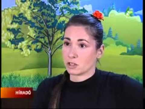 Interaktív bábelőadás gyerekeknek Vajdaságban