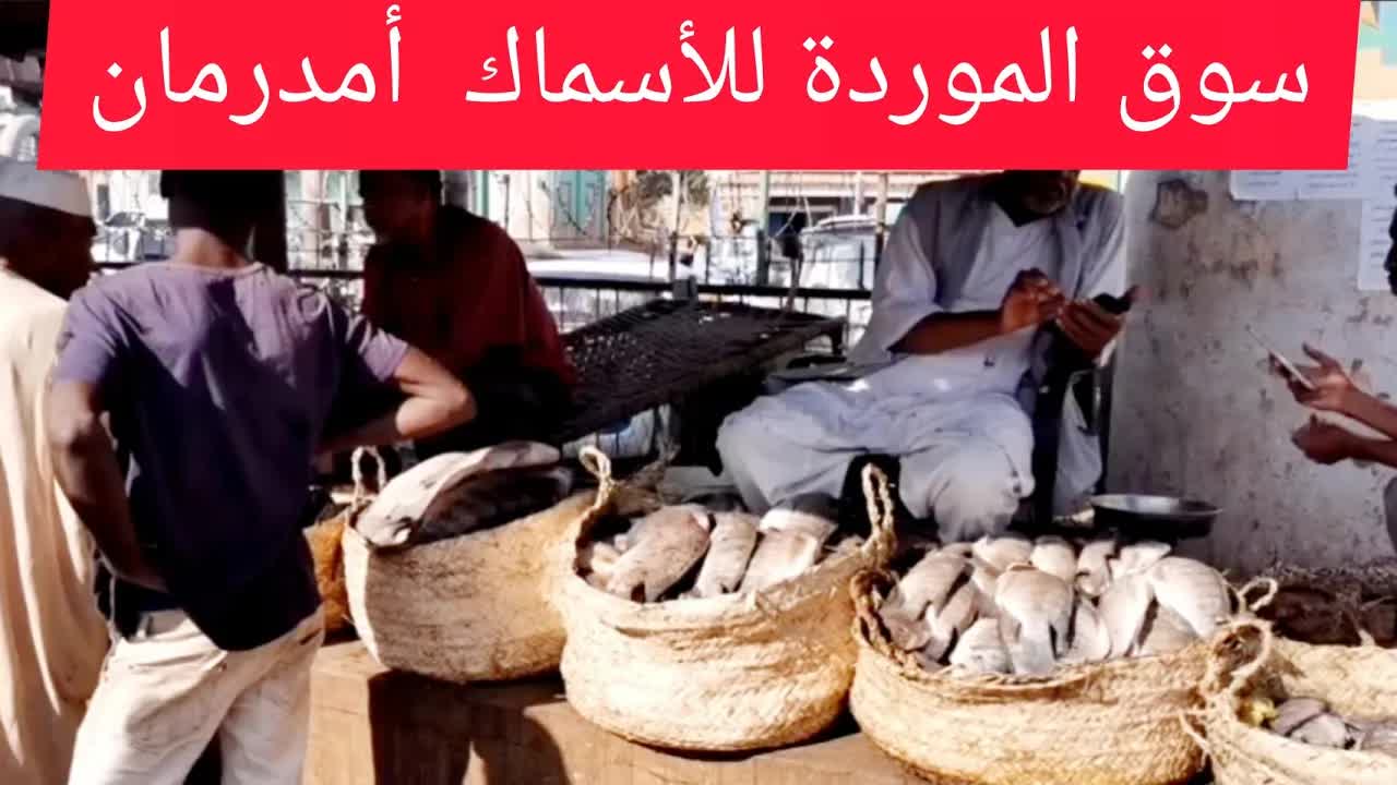 جولة في سوق الموردة للأسماك في أمدرمان