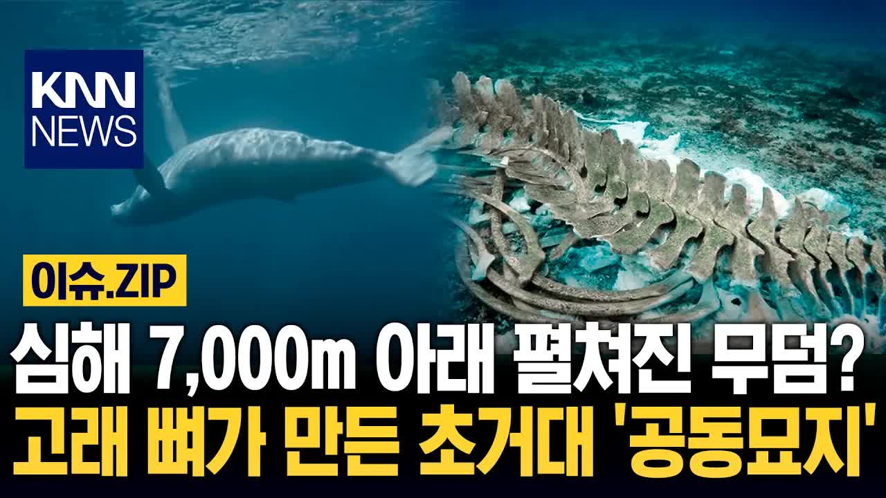 심해 고래 무덤과 화성의 신비로운 물체