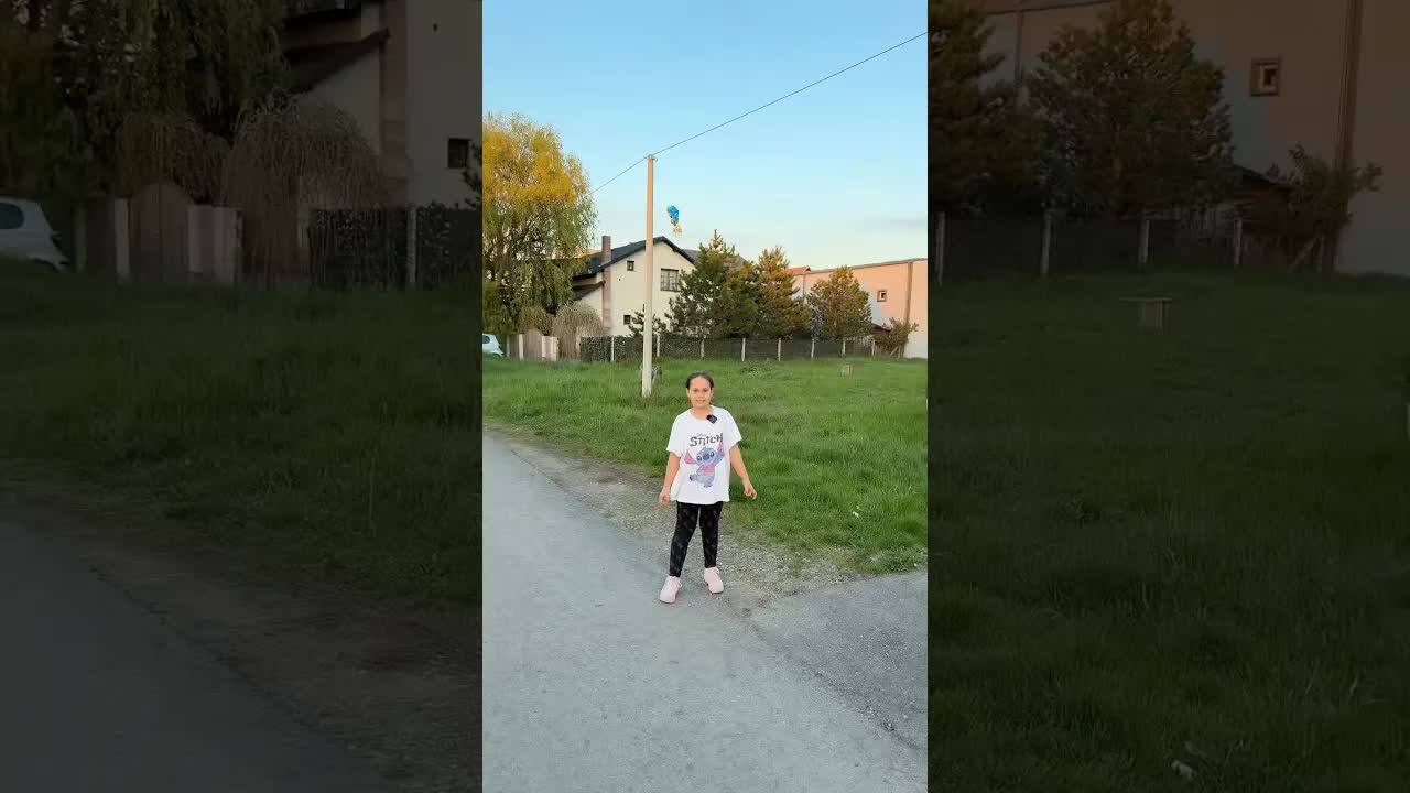 Baloni i zmaj zaglavljeni visoko, kako ih spustiti