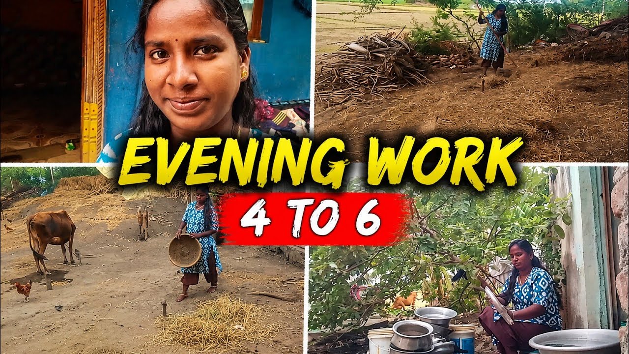 என் இரவு வேலைகள் மற்றும் கிராம வாழ்க்கை