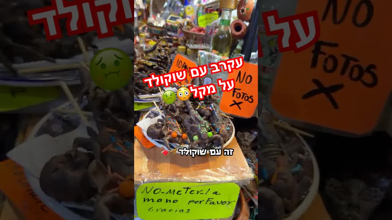 טיול בשוק במקסיקו סיטי ואכילת חרקים