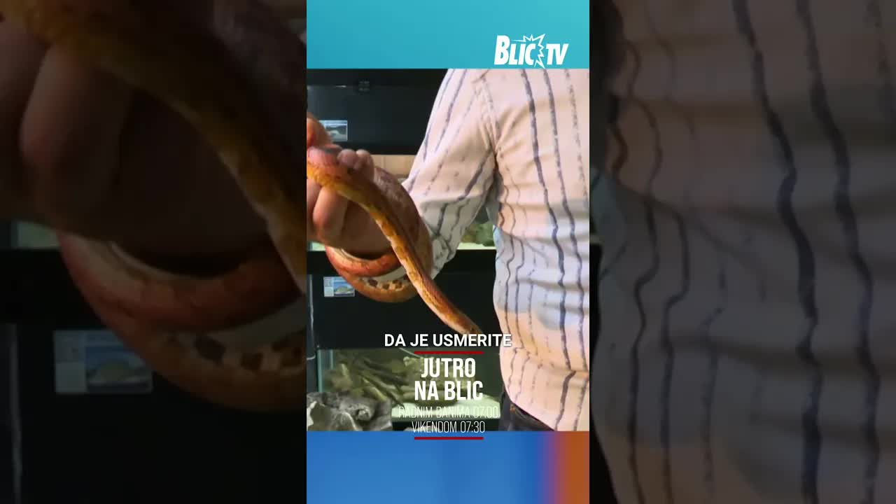 Kako reagovati kada vidite zmiju na stanici