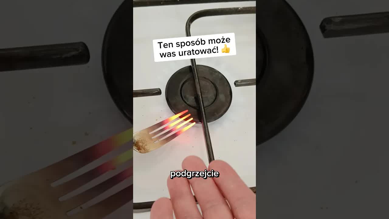 Skuteczne urządzenie na robaczki w szafce