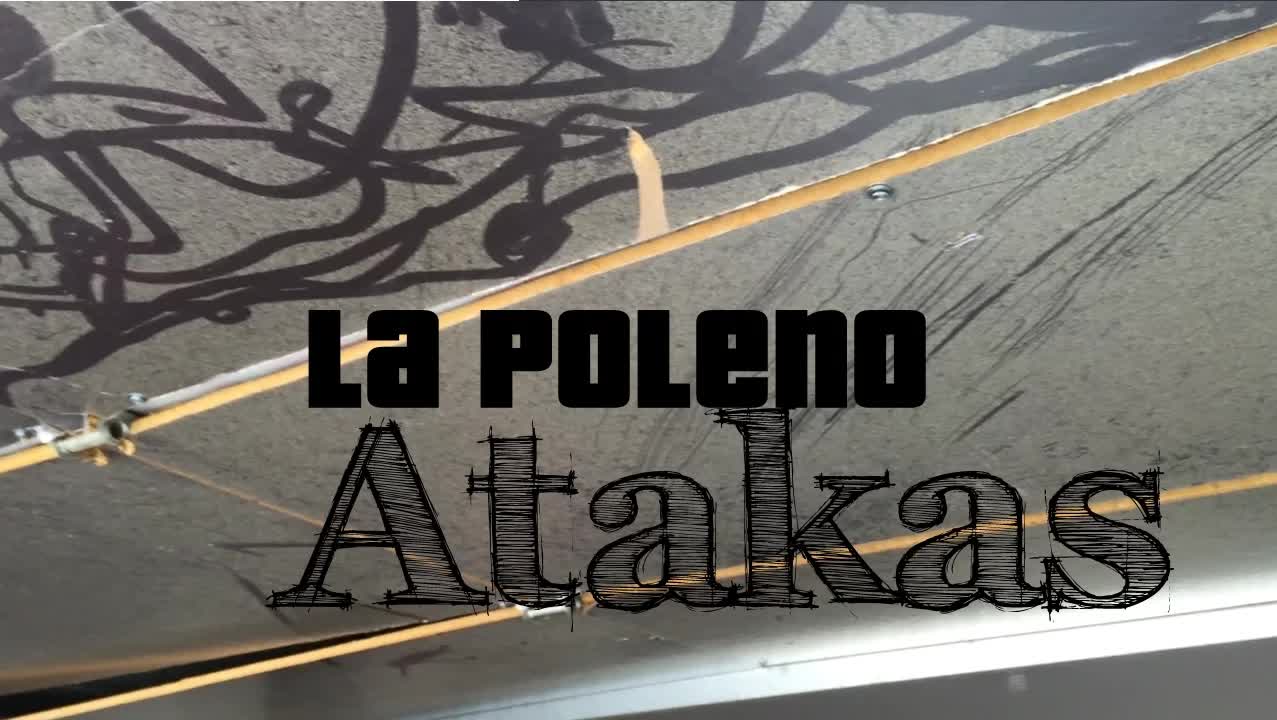 Mia alergio kaj lernado de Esperanto