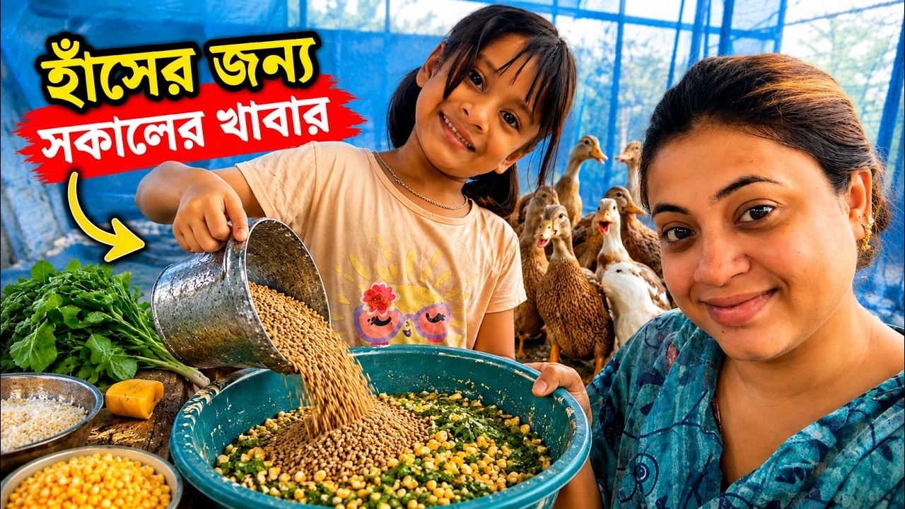 হাঁসের সকালের খাবার ও যত্ন