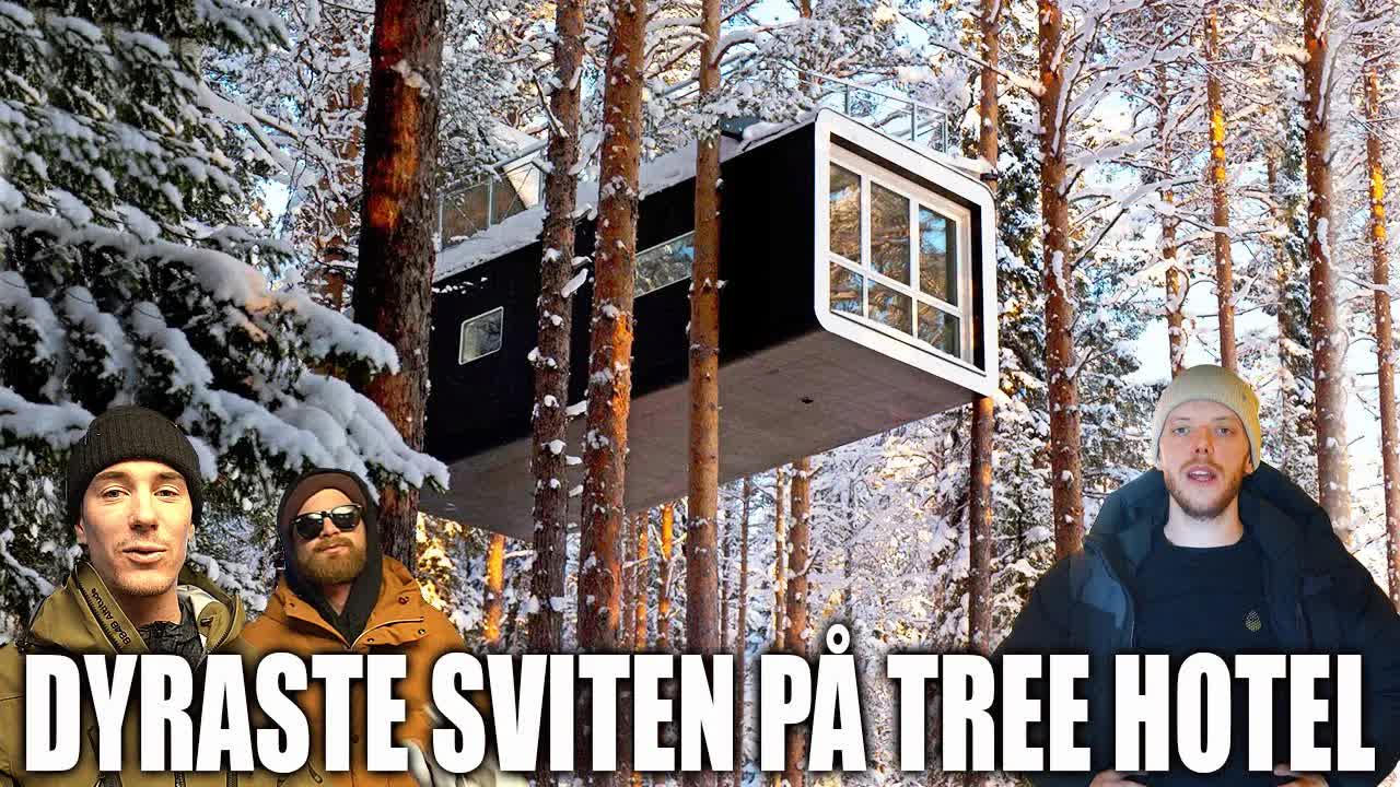 Vi bor i Sveriges lyxigaste träkoja på Tree Hotel