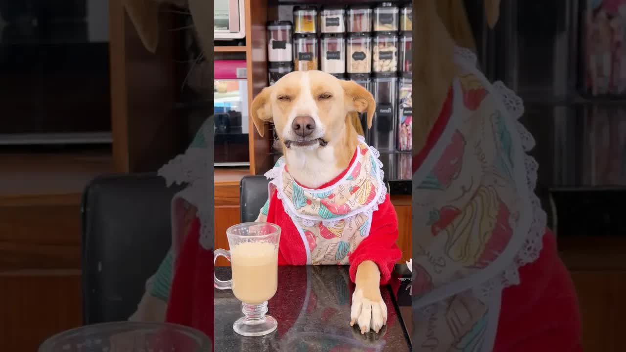 En esta casa no se desperdicia nada
