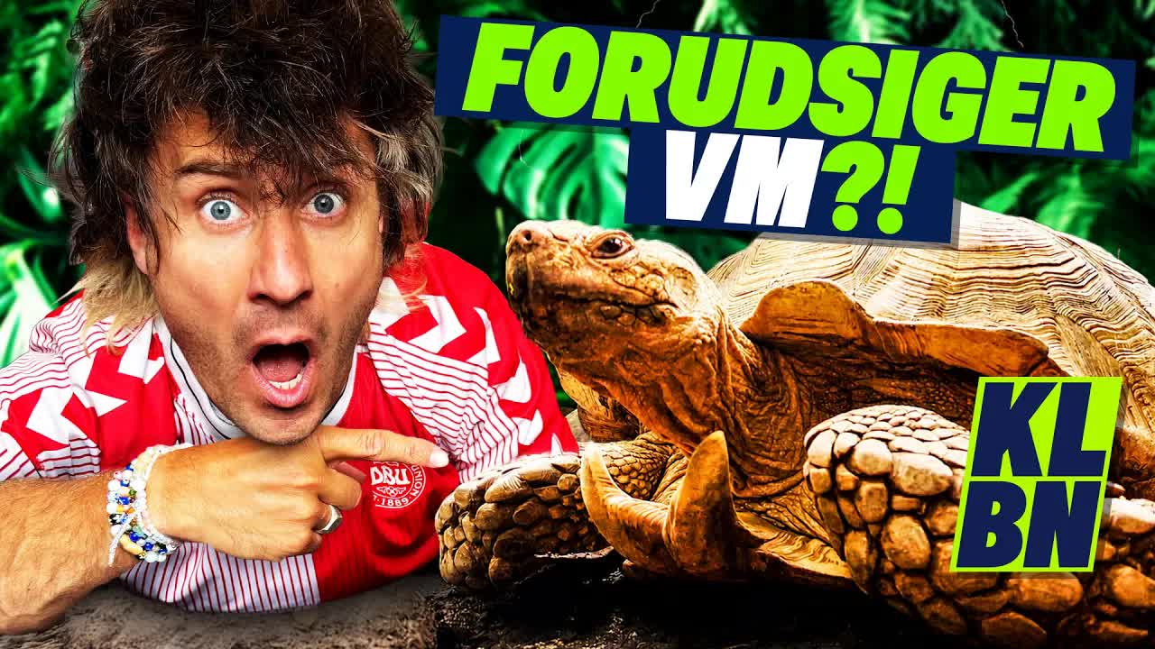 Skildpadde, spåkone og matematik forudsiger VM-vinder
