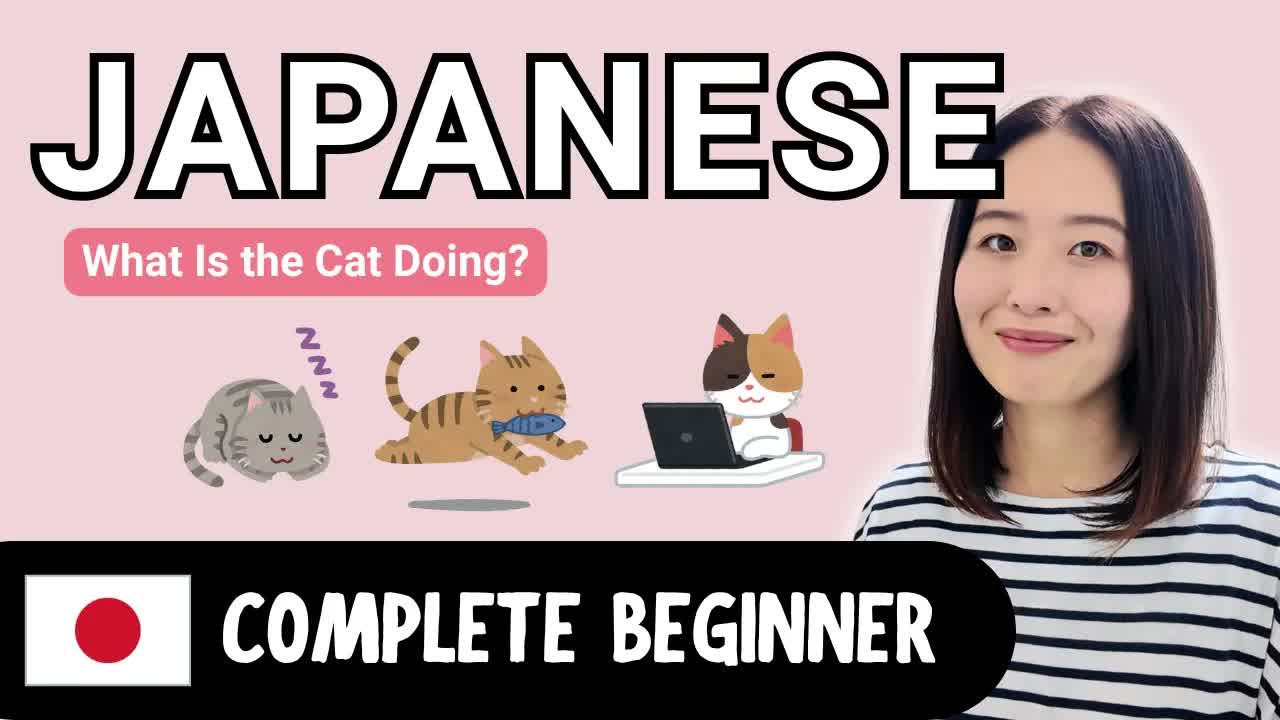 猫の写真で日本語の動詞を学ぼう