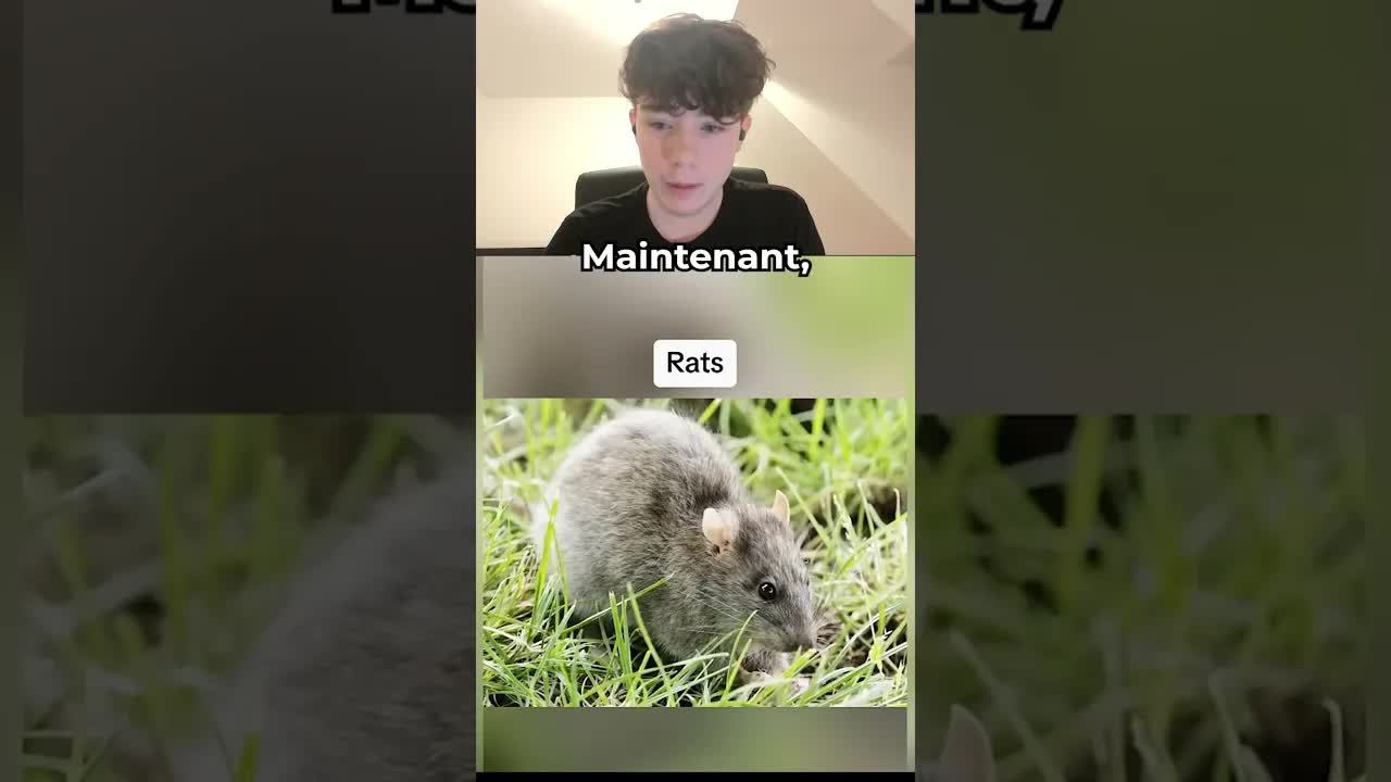 La vision des animaux vue par les enfants