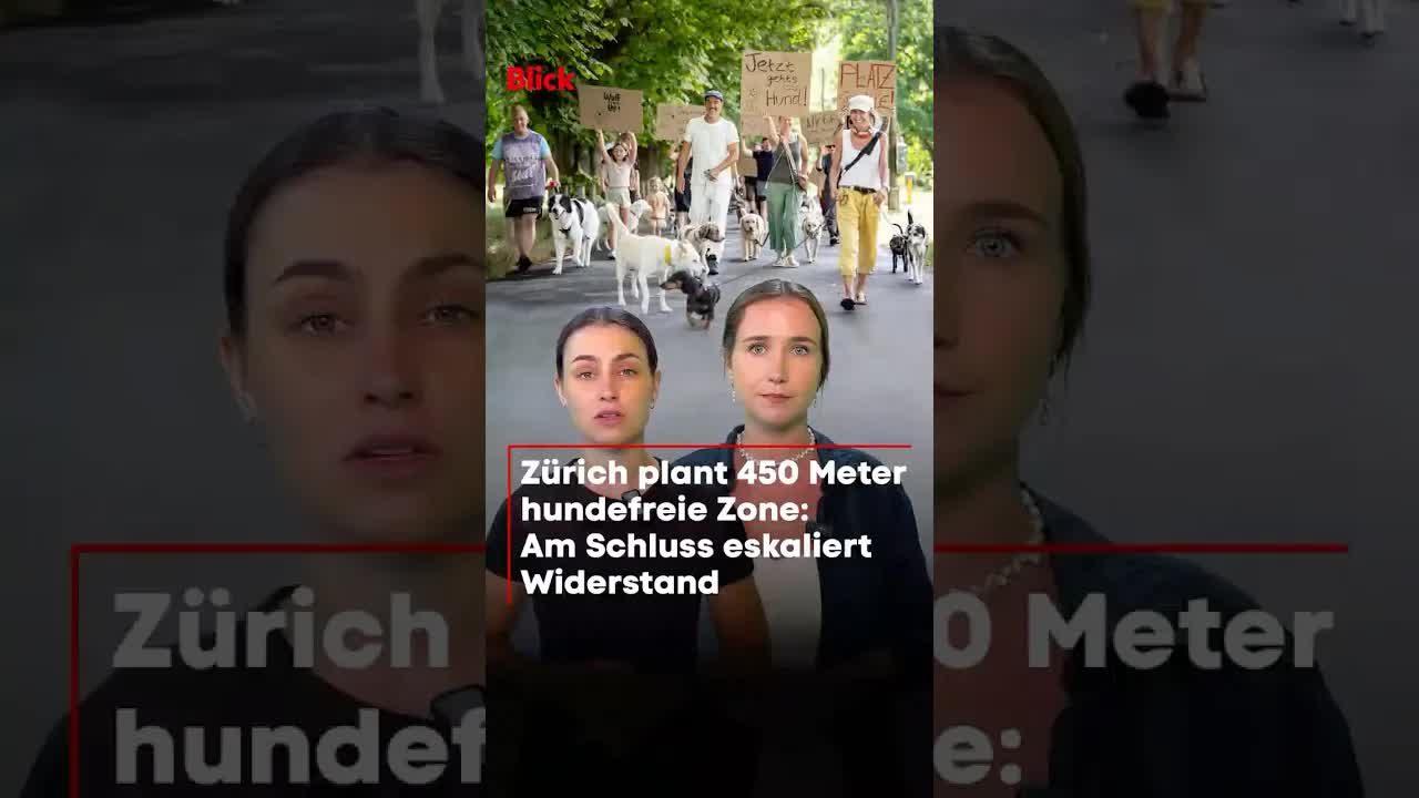Protest gegen Hundeverbot am Zürcher Sihlufer