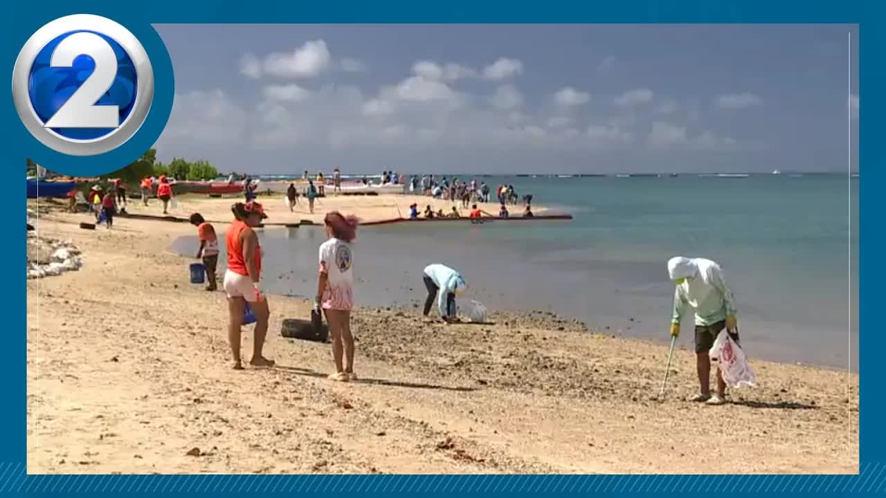 Community Beach Cleanup For World Ocean Day In Hawaii