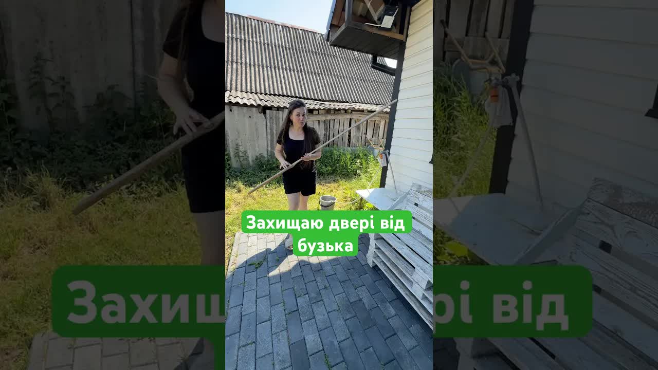 Як ми захищаємо двері від жука