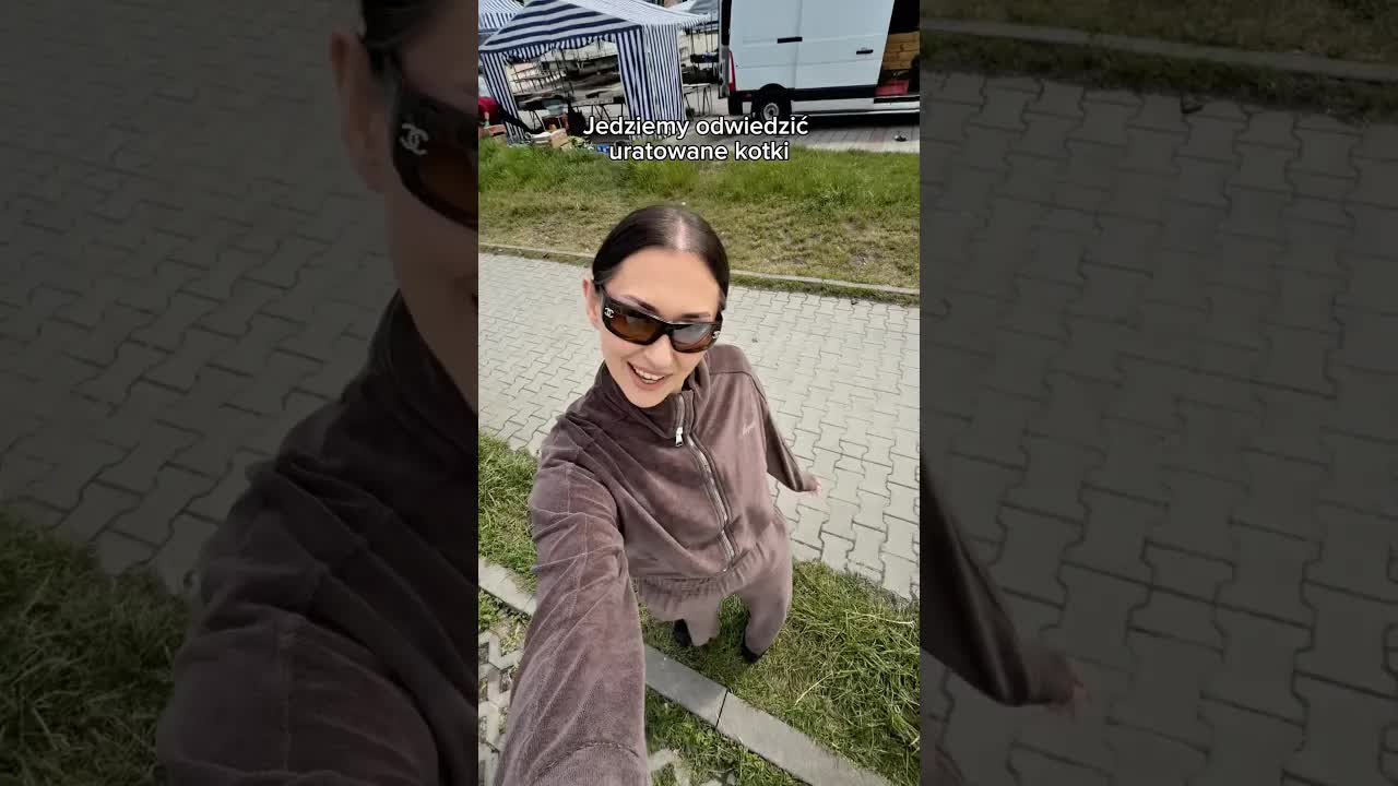 Zawozimy rzeczy dla uratowanych kotków
