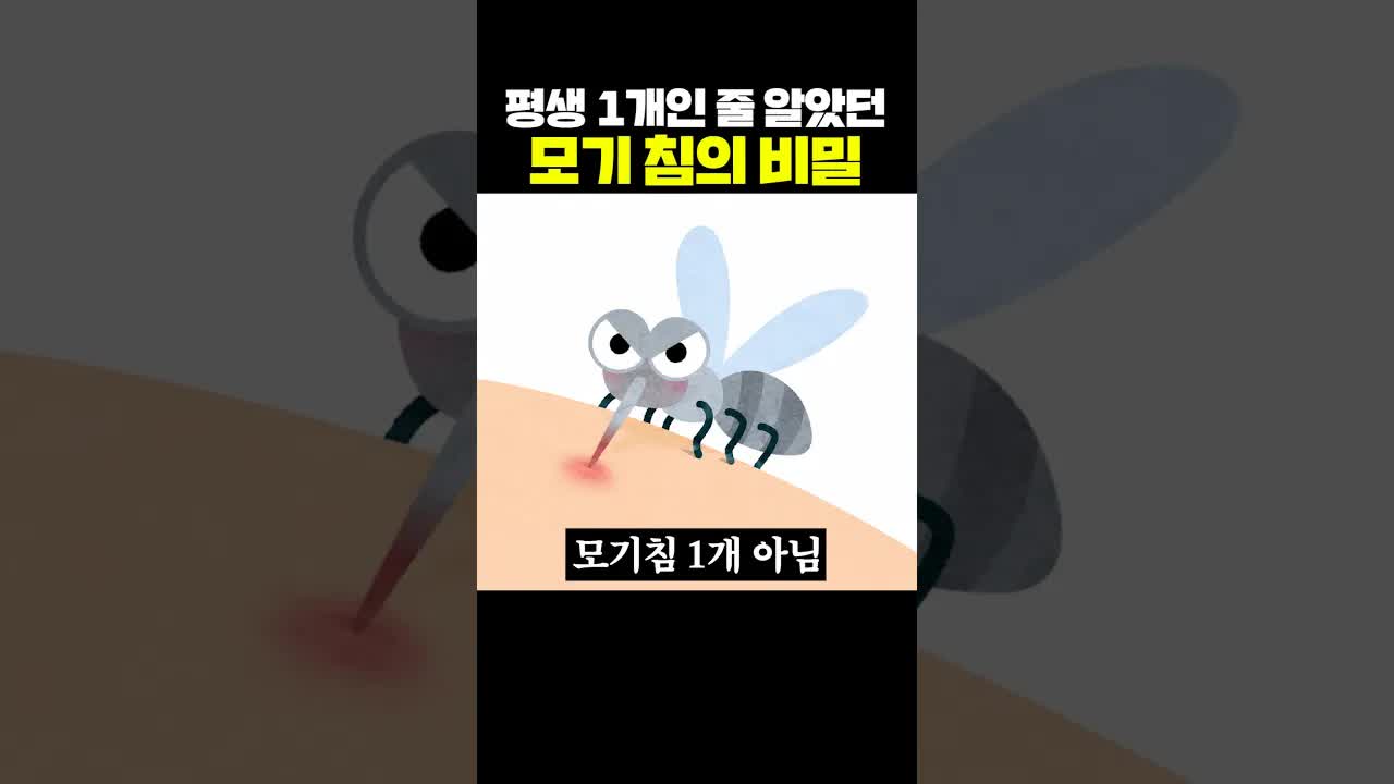 모기 침의 놀라운 구조와 작동 원리