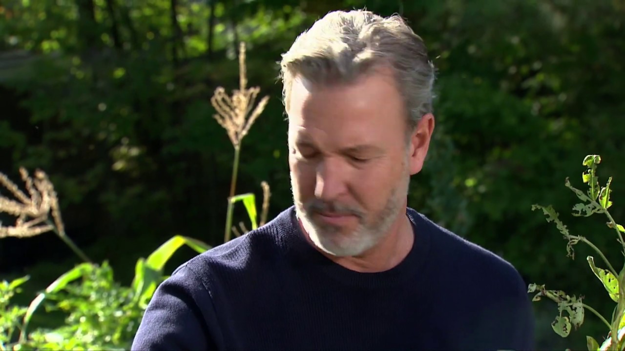 Planter des arachides avec Pierre en été