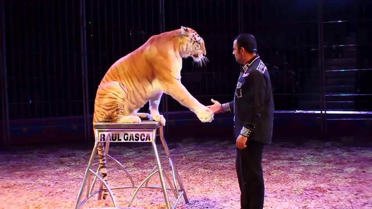 El circo Hermanos Gasca con magia y emoción