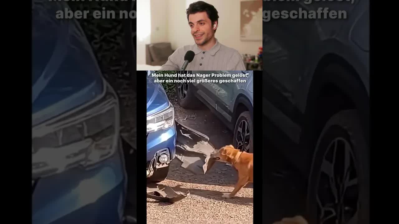 Mein Hund hat mein Auto zerstört