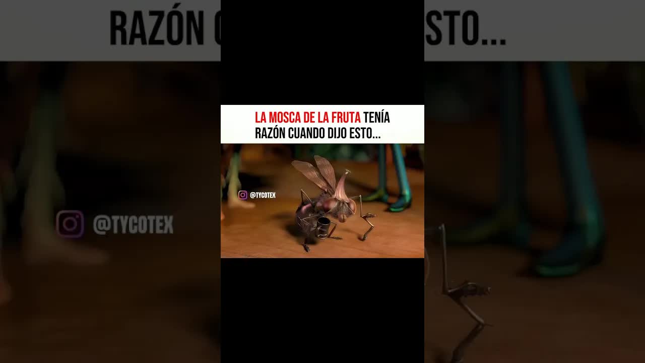 La mosca de la fruta y la vida efímera
