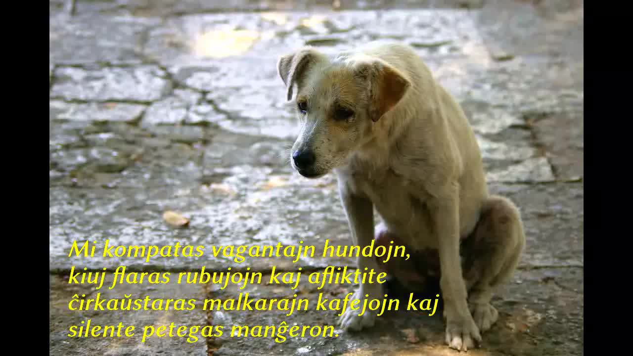 Vagantaj hundoj - Paulo S. Viana