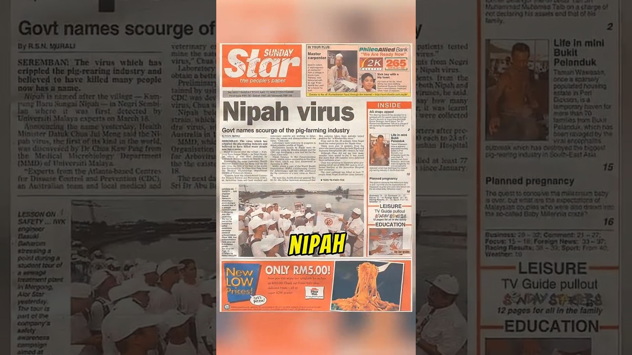 Sejarah Wabak Virus Nipah 1998 di Malaysia