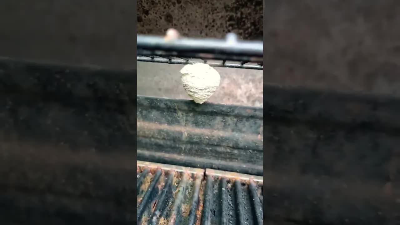 Pas på bikuber når du griller
