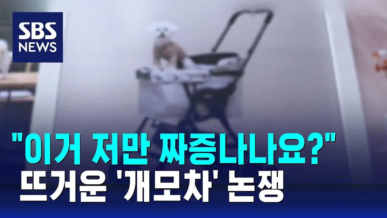 ‘개모차’ 논란, 반려견 산책 방식을 두고 갑론을박