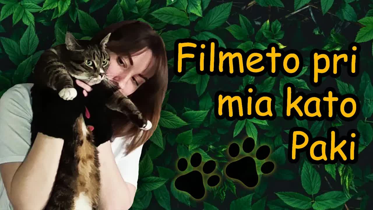 Mia vivo kun mia kato Paki: Dek translokiĝoj
