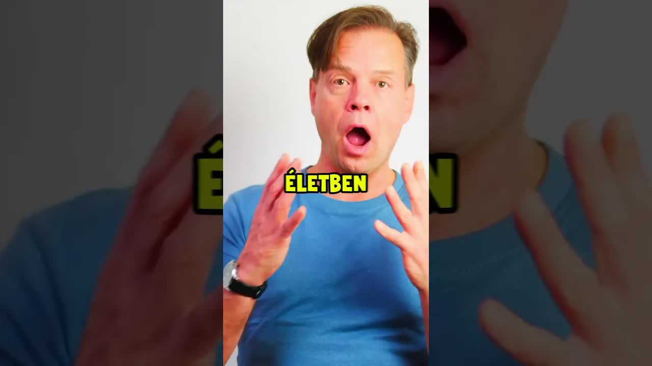 Egy elhagyott cica megmentése és gondozása