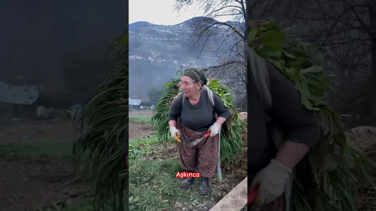 Trabzon'da Bir Karadeniz Köyünün Günlük Hayatı