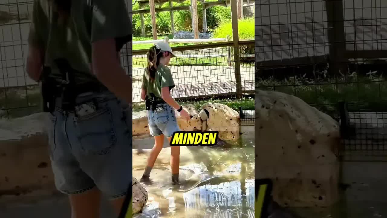 A kis víziló nem akart kijönni a medencéből