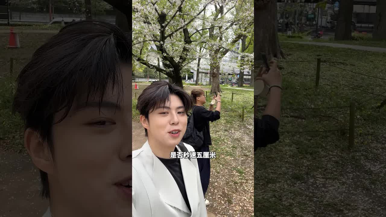 實測櫻花掉落速度係咪秒速五厘米