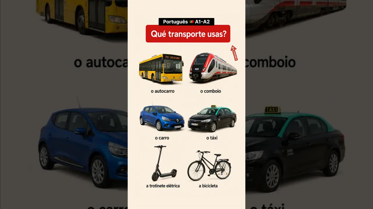 Que transporte usas no dia a dia?