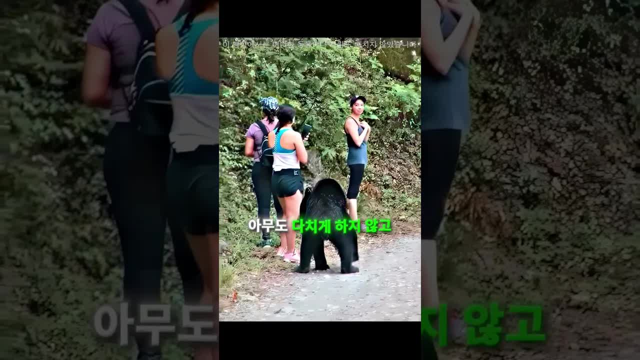 카메라에 포착된 충격적인 동물 순간들
