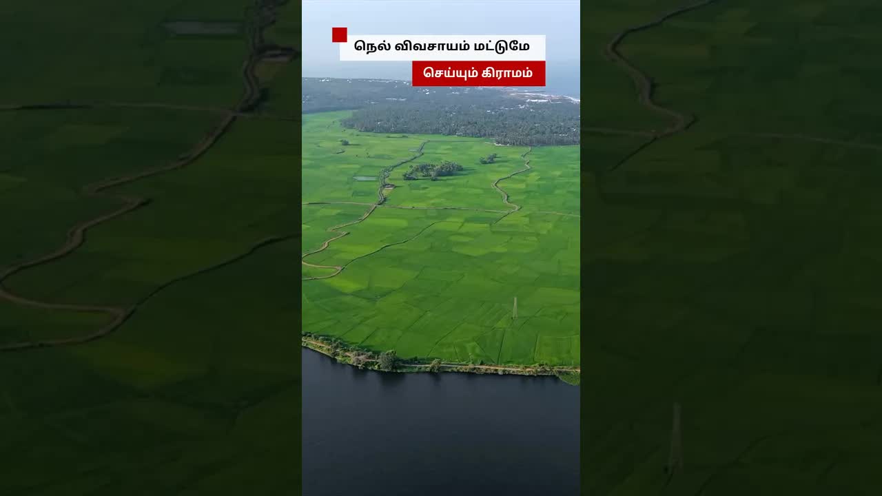 நெல் விவசாயத்தைக் காக்கும் பெரியகுளம் கிராமம்