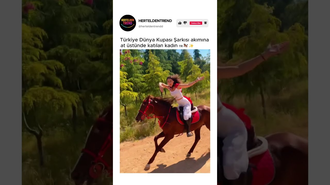 Türkiye Dünya Kupası Şarkısı Parodisi