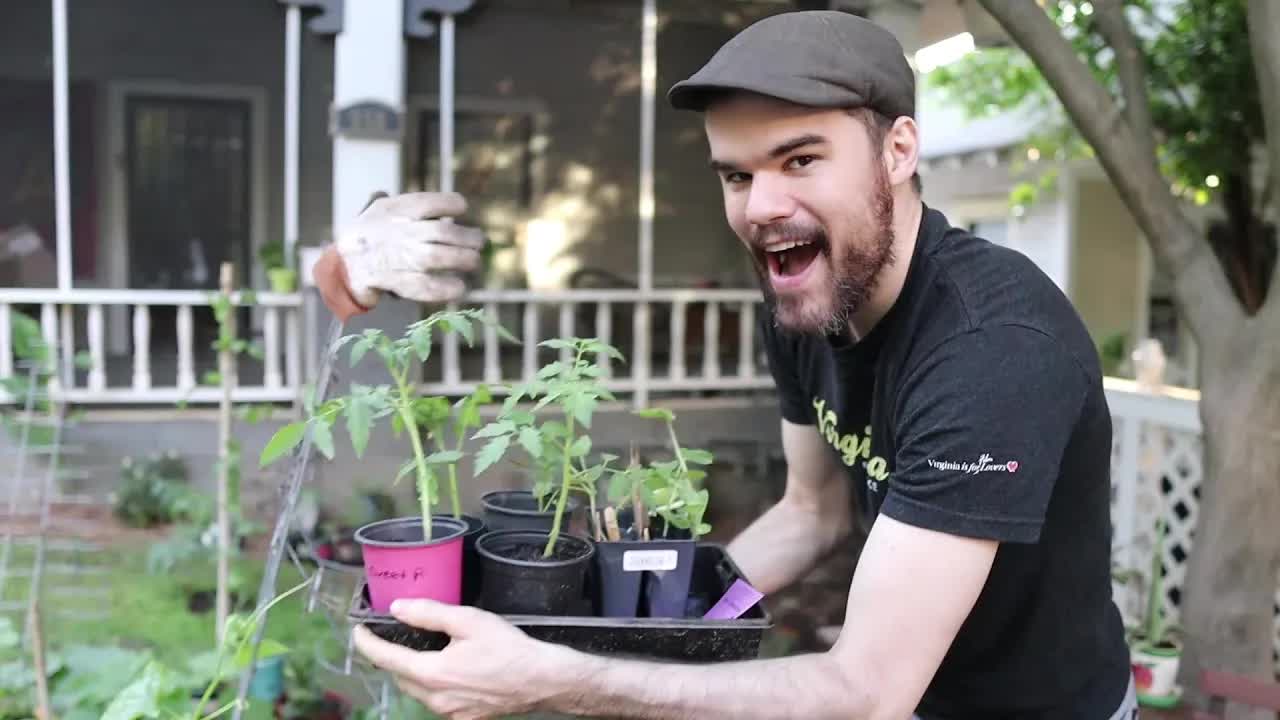 Mia Ĝardeno en Esperanto: Plantado kaj Legomoj