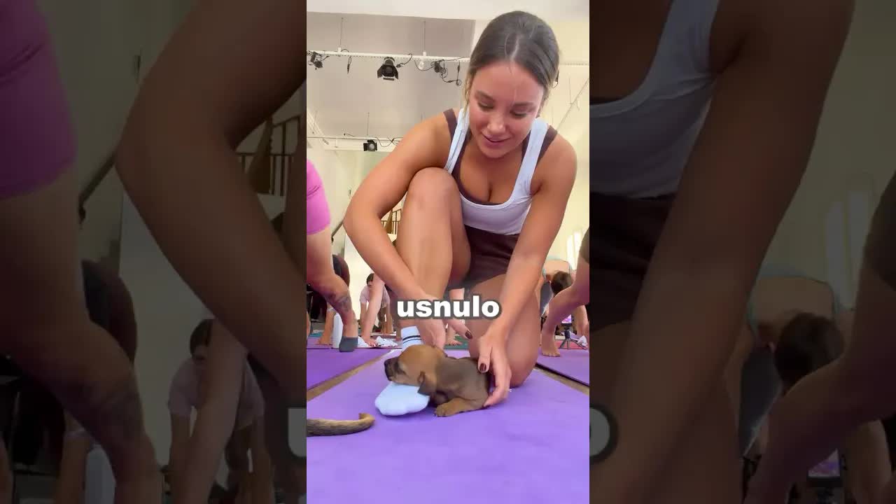 Štěně si vybralo dívku na józe
